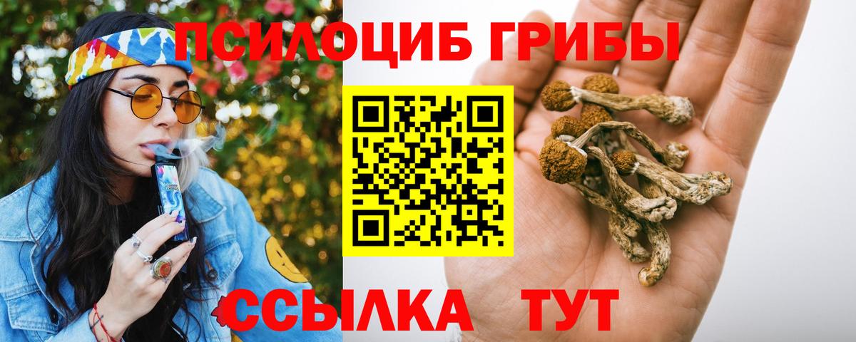 Галлюциногенные грибы мухоморы Славгород