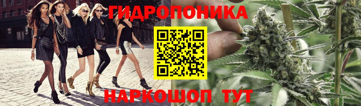 Шишки марихуана OG Kush  Марихуана VHQ  Вход с VPN  Славгород  Бошки Шишки OG Kush 